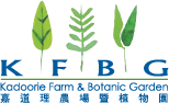 logo-kfbg-home